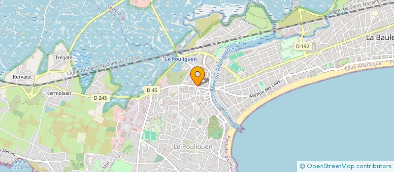 localisation de l'entreprise ELAN PRESTIGE  LE POULIGUEN