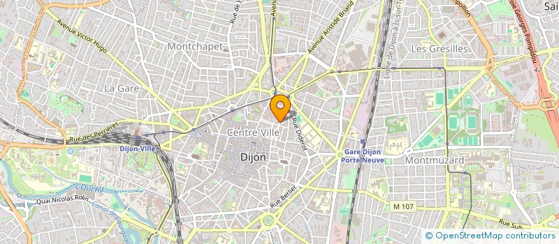 localisation de l'entreprise ELANE SOC à DIJON