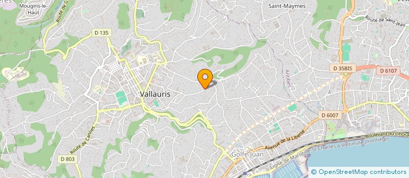 localisation de l'entreprise ELB - VITAL IMMO  VALLAURIS