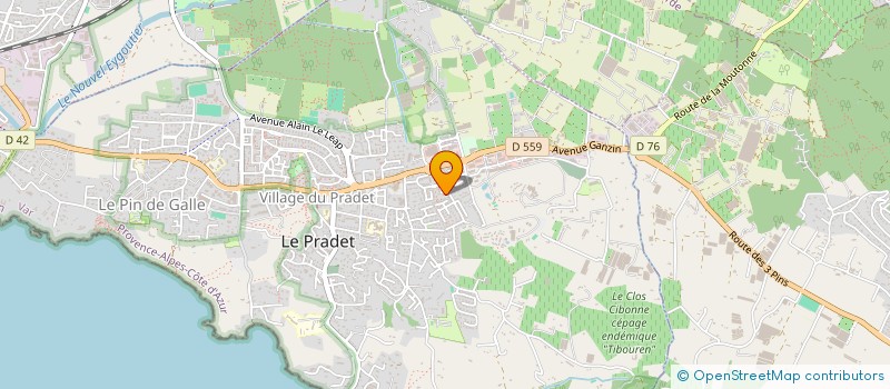 localisation de l'entreprise ELCE INVEST à LE PRADET