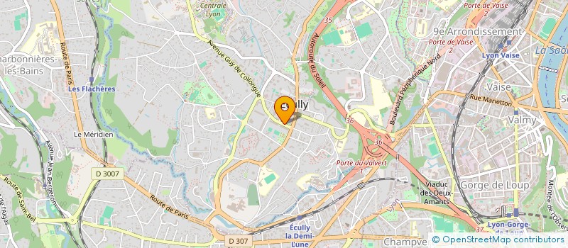 localisation de l'entreprise ELCMM  ECULLY