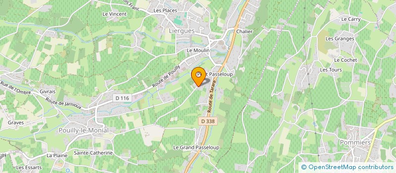 localisation de l'entreprise ELEC DES PIERRES DOREES  BLACE