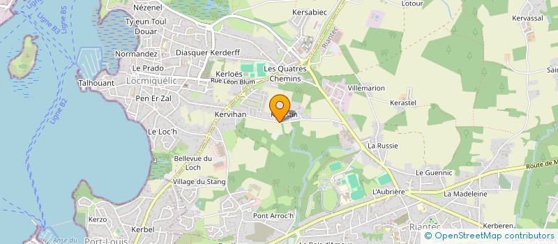 localisation de l'entreprise ELEC ECO  RIANTEC