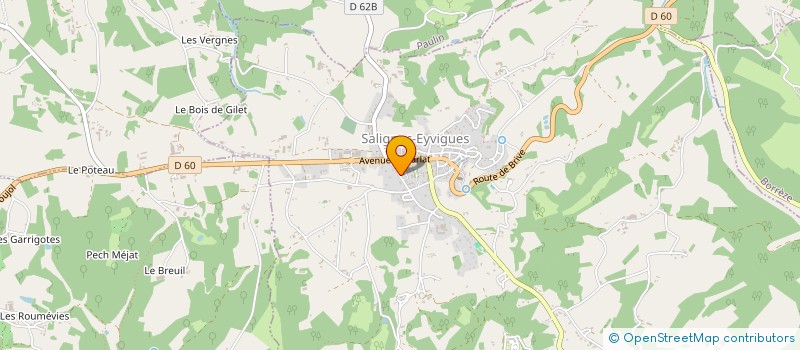 localisation de l'entreprise ELEC SERVICE PLUS  SALIGNAC-EYVIGUES