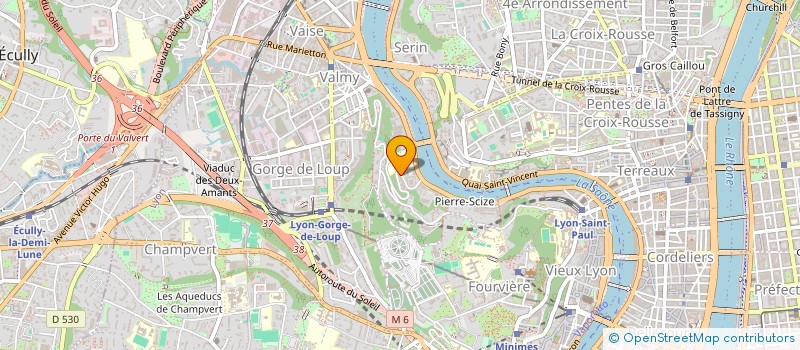 localisation de l'entreprise ELEC SERVICES  LYON