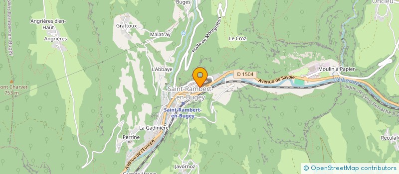 localisation de l'entreprise ELECTRICITE 2000  SAINT-RAMBERT-EN-BUGEY