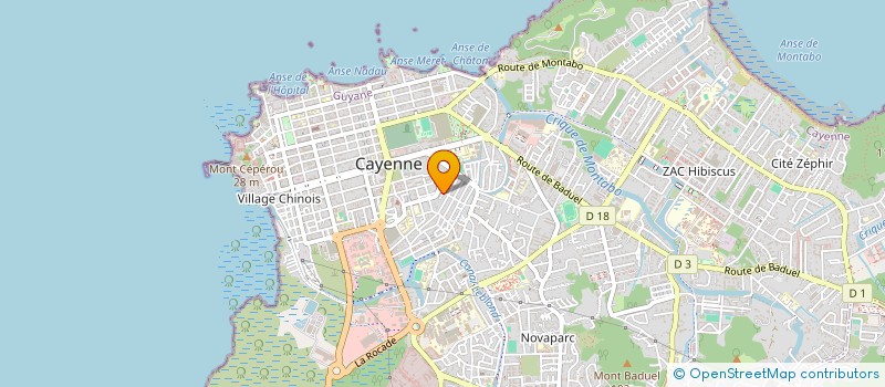 localisation de l'entreprise ELECTRICITE ENVIRONNEMENT CONNECTE  CAYENNE