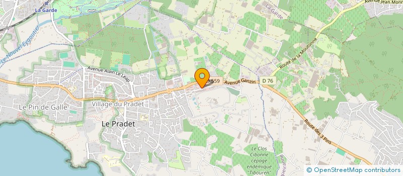 localisation de l'entreprise ELECTRICITE GENERALE VAROISE  LE PRADET