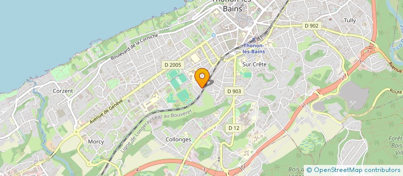 localisation de l'entreprise ELECTRICNIGHT à THONON-LES-BAINS
