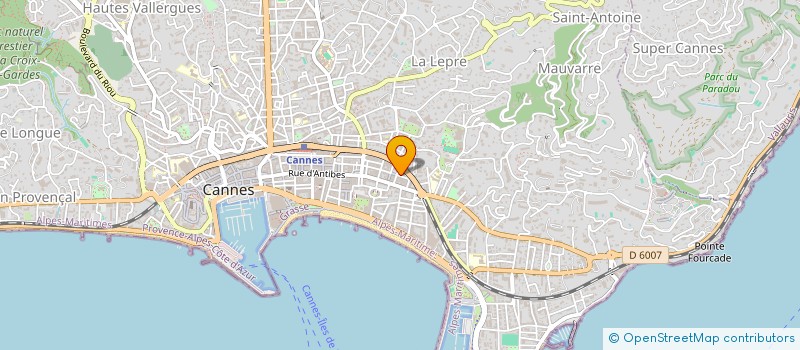 localisation de l'entreprise ELECTRO  CANNES