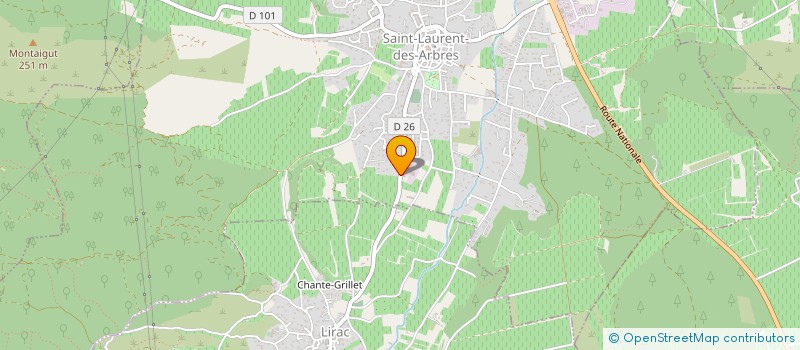 localisation de l'entreprise ELECTRO AND ARTS FOR SPIRIT  SAINT-LAURENT-DES-ARBRES