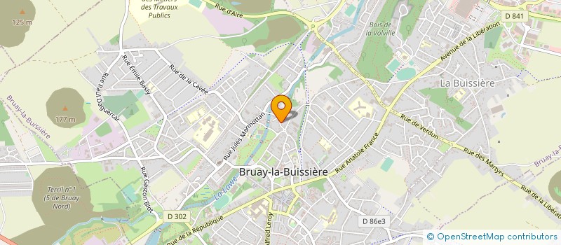 localisation de l'entreprise ELECTRO LIBRE  BRUAY-LA-BUISSIERE