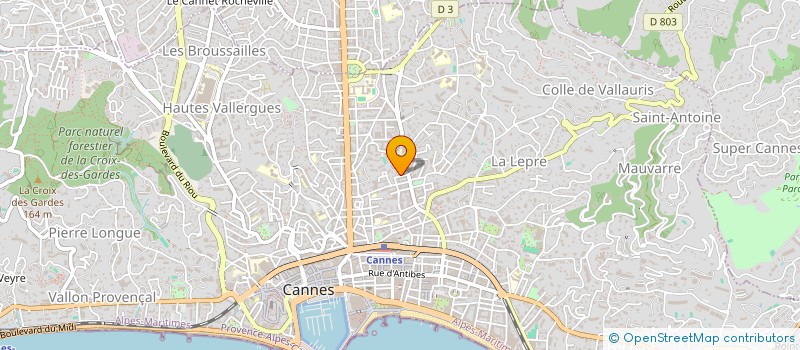 localisation de l'entreprise ELEGANCE à CANNES