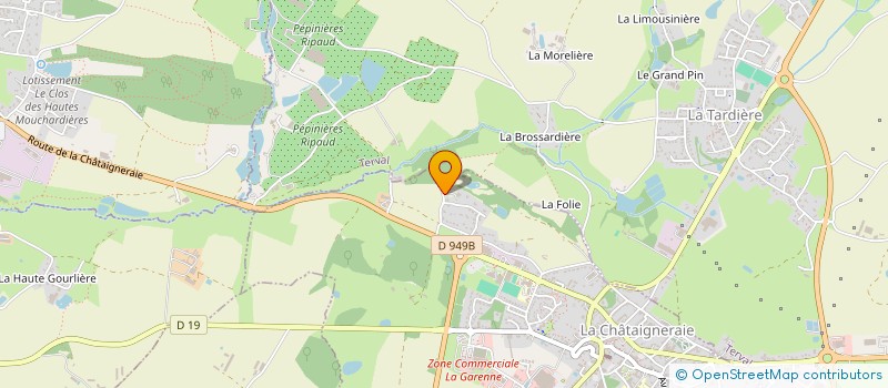 localisation de l'entreprise ELEGANCE ET SERRES DE FRANCE  LA CHATAIGNERAIE