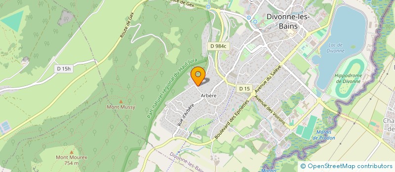 localisation de l'entreprise ELEMENT'HERTZ  DIVONNE-LES-BAINS