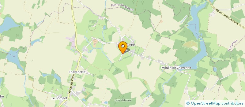 localisation de l'entreprise ELEVAGE SERVICES  LA CHAPELLE-SAINT-SAUVEUR