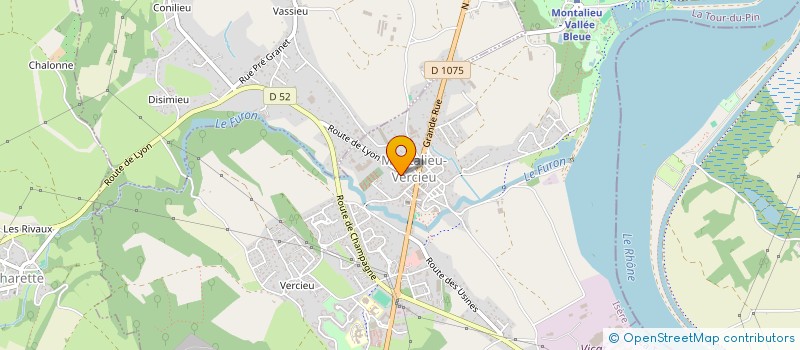 localisation de l'entreprise ELINA  MONTALIEU-VERCIEU