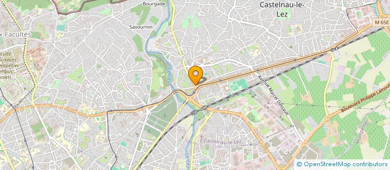 localisation de l'entreprise ELISEL  CASTELNAU-LE-LEZ