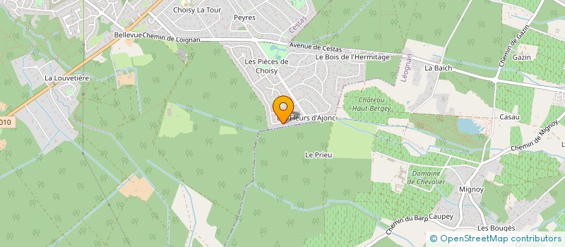 localisation de l'entreprise ELISERVICES  CESTAS