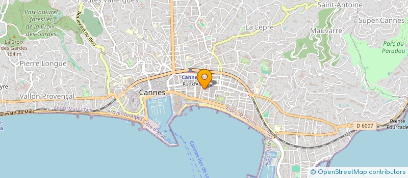 localisation de l'entreprise ELITA INVESTISSEMENT à CANNES