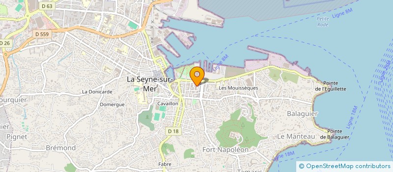 localisation de l'entreprise ELITE BEAUTY SERVICES à LA SEYNE-SUR-MER