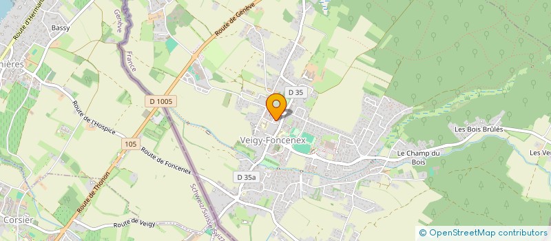 localisation de l'entreprise ELITE CARE STUDIO  VEIGY-FONCENEX