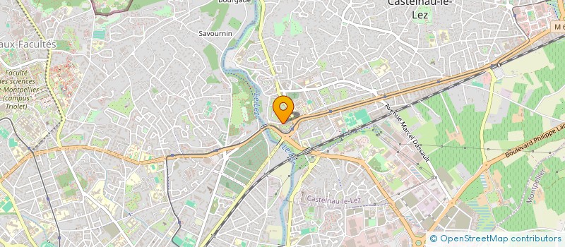 localisation de l'entreprise ELITE DRIVER à CASTELNAU-LE-LEZ
