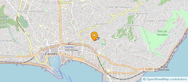 localisation de l'entreprise ELITE INTERNATIONALE à CANNES