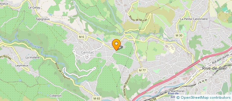 localisation de l'entreprise ELIUM  GENILAC