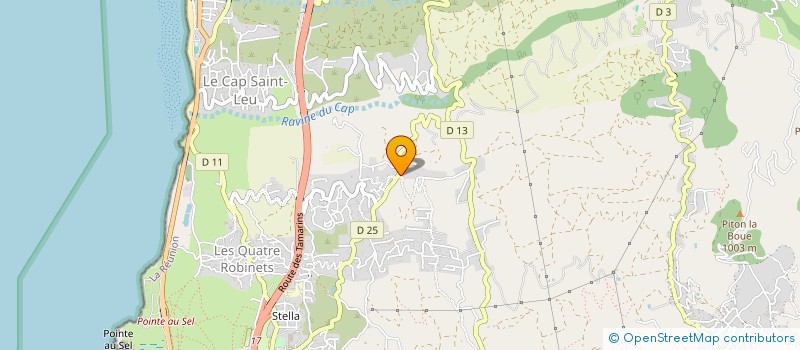 localisation de l'entreprise ELLAYA  SAINT-LEU