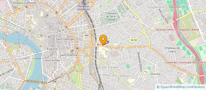 localisation de l'entreprise ELLES PETILLENT EN OCCITANIE ! à TOULOUSE