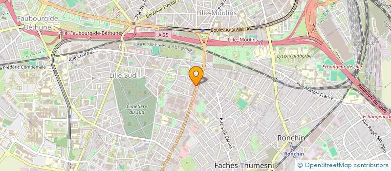 localisation de l'entreprise ELMESJIRA IMMO à LILLE