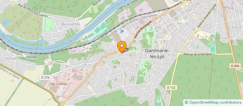 localisation de l'entreprise ELMI VTC à DAMMARIE-LES-LYS