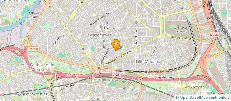 localisation de l'entreprise ELMICA 3 à LILLE