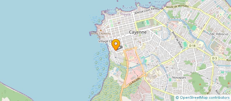 localisation de l'entreprise ELOME  CAYENNE