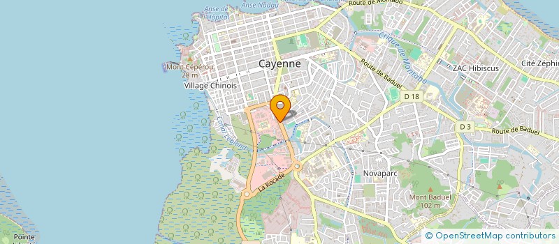 localisation de l'entreprise ELS GLOBAL SERVICE à CAYENNE