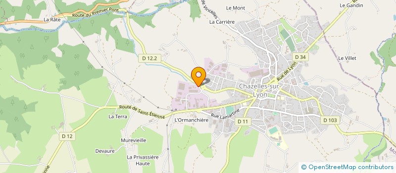 localisation de l'entreprise ELS-VERRETRI à CHAZELLES-SUR-LYON