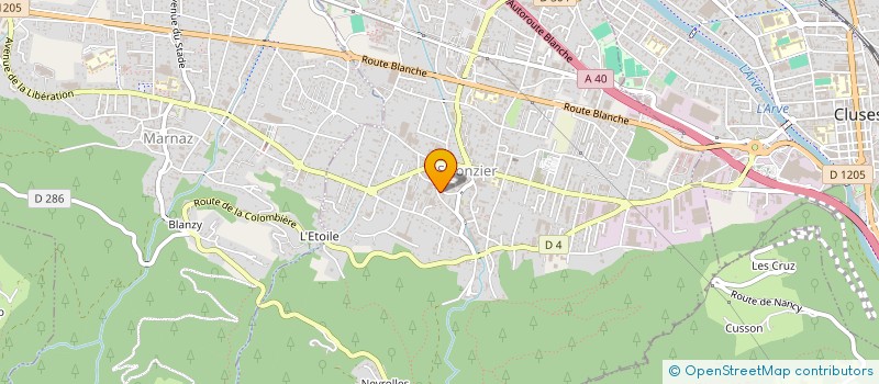 localisation de l'entreprise ELVAS HOLDING  SCIONZIER