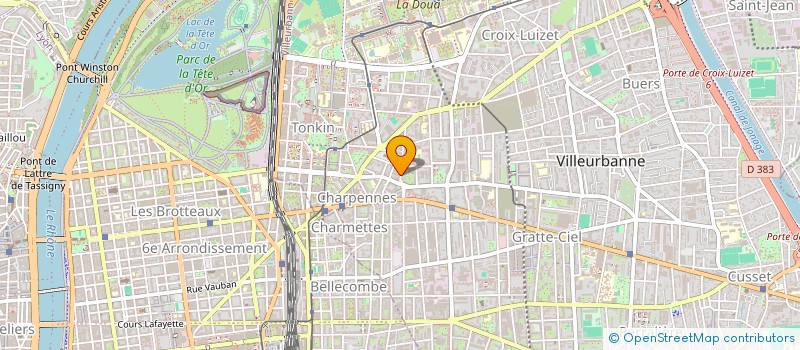 localisation de l'entreprise ELVIS GROUPE  VILLEURBANNE