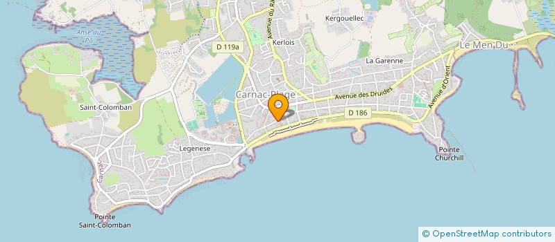 localisation de l'entreprise ELYA  CARNAC