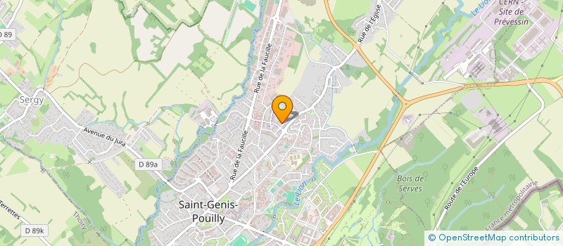 localisation de l'entreprise ELYCA 119 à SAINT-GENIS-POUILLY