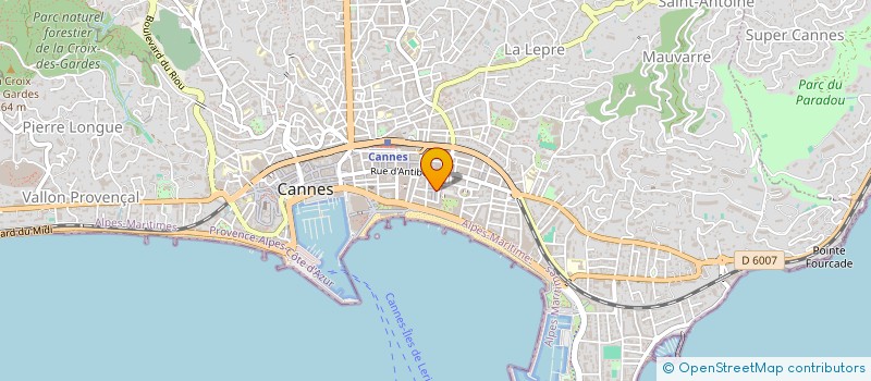 localisation de l'entreprise ELYSEE à CANNES