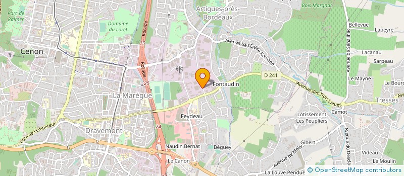 localisation de l'entreprise ELYSEE BMI  ARTIGUES-PRES-BORDEAUX