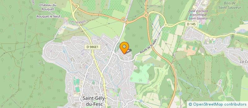 localisation de l'entreprise EM ELAGAGE ABATTAGE ENTRETIEN ESPACES VERTS  SAINT-GELY-DU-FESC