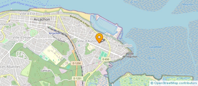 localisation de l'entreprise EM PULSE à ARCACHON