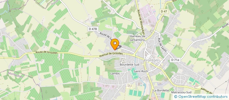 localisation de l'entreprise EMA INVEST 31  FRONTON