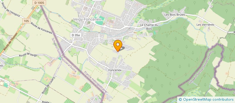 localisation de l'entreprise EMGO INVESTMENT  VEIGY-FONCENEX