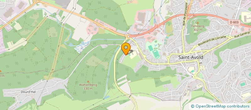 localisation de l'entreprise EMILIA  SAINT-AVOLD