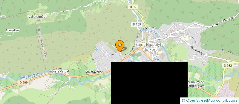 localisation de l'entreprise EMMANUEL I  SAINT-HIPPOLYTE-DU-FORT