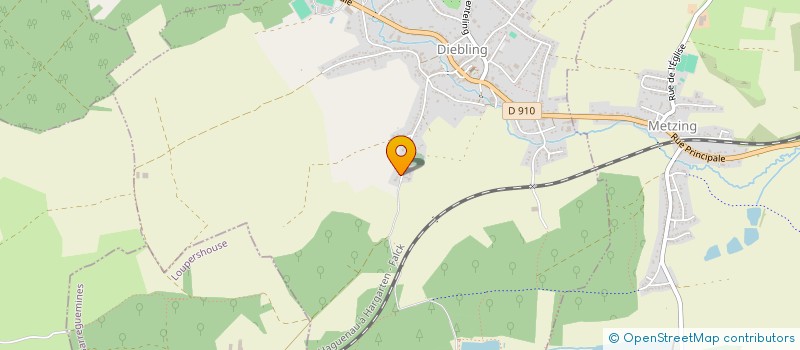 localisation de l'entreprise EMS  DIEBLING